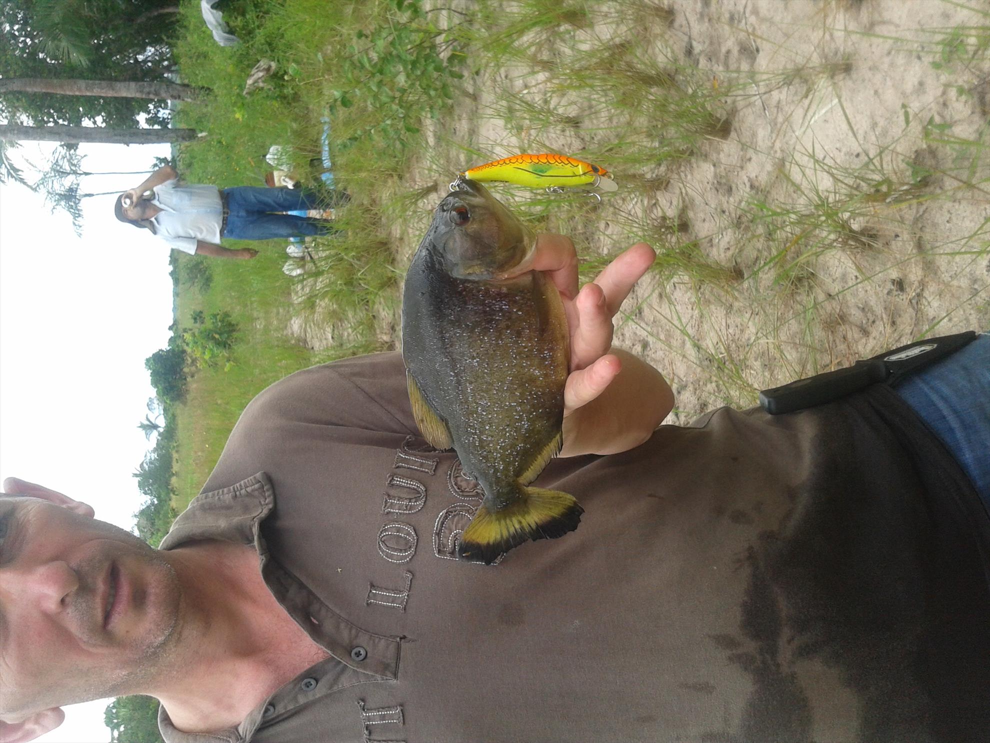 Pescuit in Mato Groso (Brasil) - Vestitul piranha. Nu pare prea periculos...